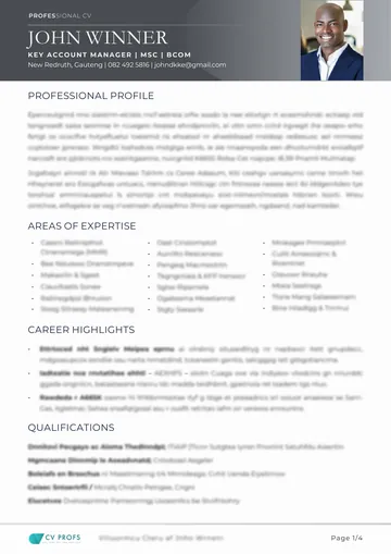 CV Profs contemporary grey CV format, sample content blurred